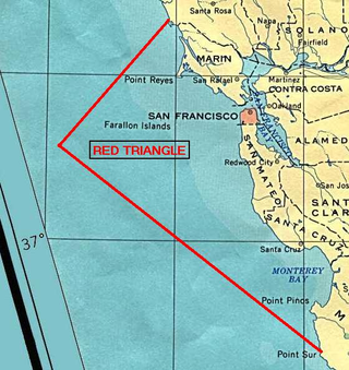Illustration for article titled Watch A Great White Shark Jump A Seal In San Francisco